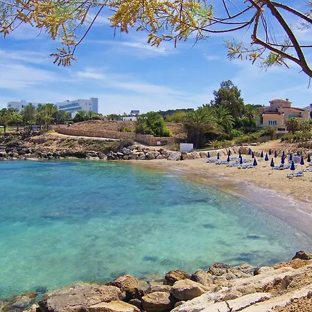 Coralli Beachfront Resort-3